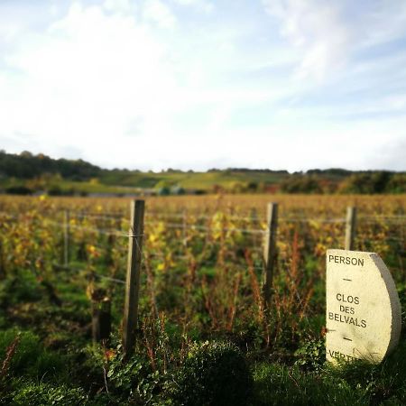 Le Clos Des Belvals Blancs-Coteaux Екстер'єр фото