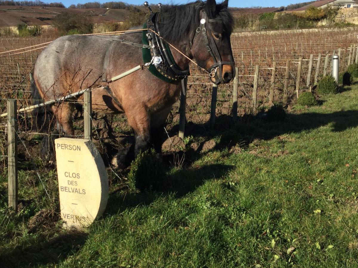 Le Clos Des Belvals Blancs-Coteaux Екстер'єр фото